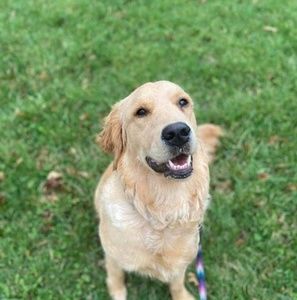 Meet your Posher, Becky